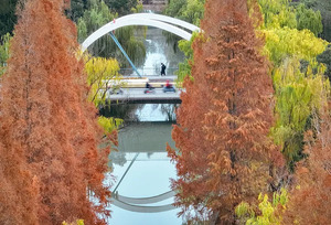 高考舞弊行为将会产生怎样的严重后果?_尚书志愿，高考志愿填报服务平台，新高考选科填报指南，高考查分，大学专业排名，生涯规划